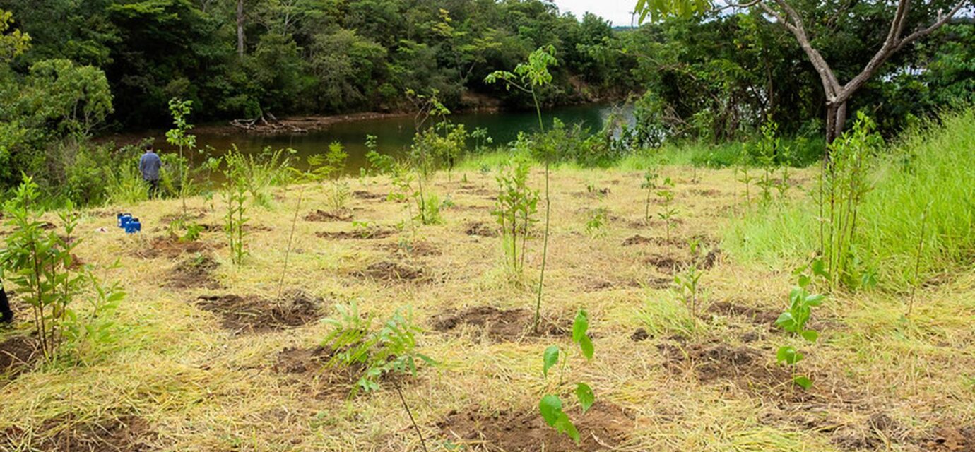 eca-ambiental-garante-direito-de-acesso-de-jovens-a-areas-verdes