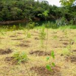 eca-ambiental-garante-direito-de-acesso-de-jovens-a-areas-verdes