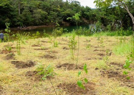 eca-ambiental-garante-direito-de-acesso-de-jovens-a-areas-verdes