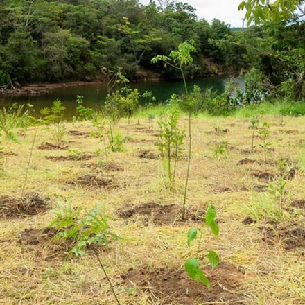 eca-ambiental-garante-direito-de-acesso-de-jovens-a-areas-verdes