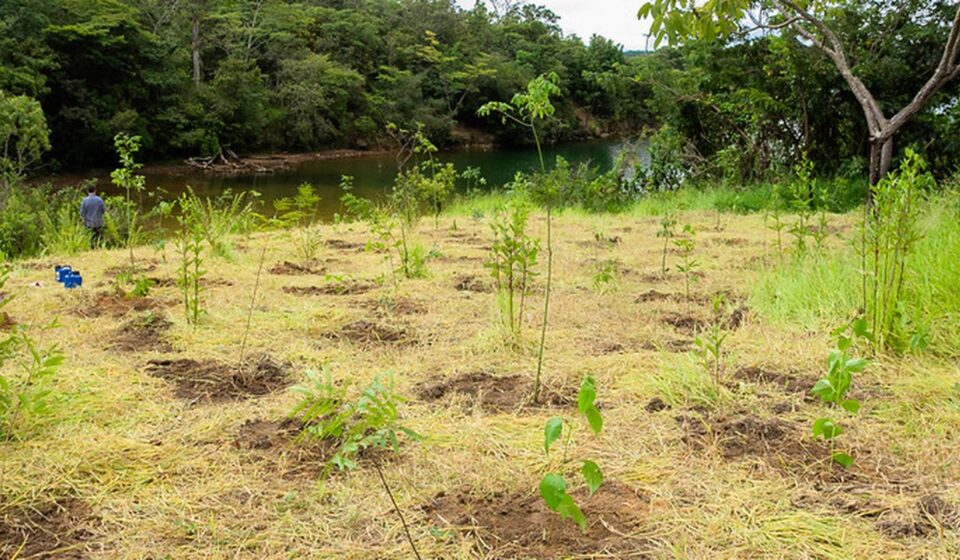 eca-ambiental-garante-direito-de-acesso-de-jovens-a-areas-verdes