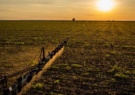seguro-rural:-novas-regras-ampliam-cobertura-e-protecao-ao-produtor