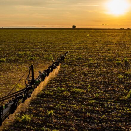 seguro-rural:-novas-regras-ampliam-cobertura-e-protecao-ao-produtor
