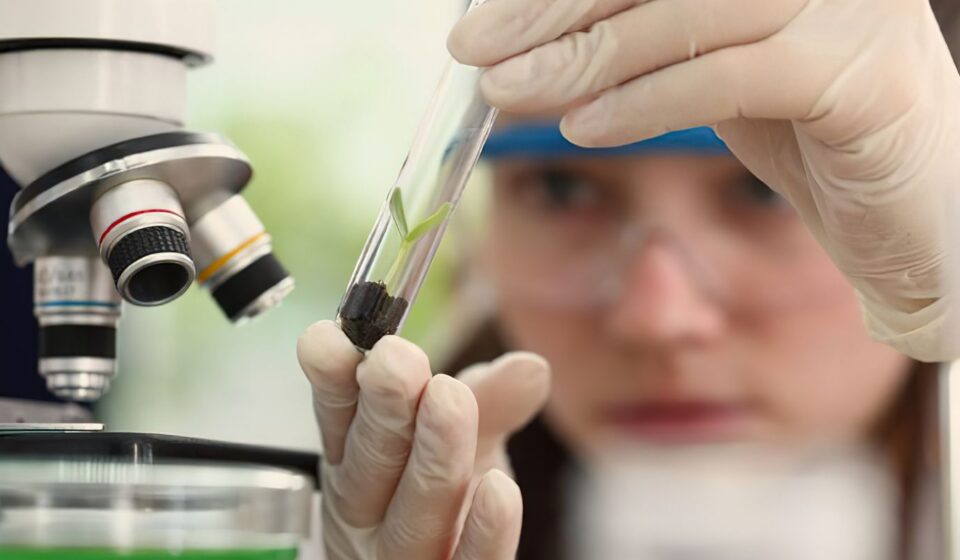imersao-cientifica-leva-alunas-e-professoras-a-centros-tecnologicos
