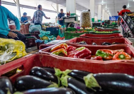 campanha-busca-engajamento-para-reduzir-desperdicio-de-alimento