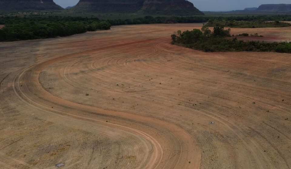 cerrado-perde-um-quarto-da-vegetacao-a-menos-de-500-metros-de-rios