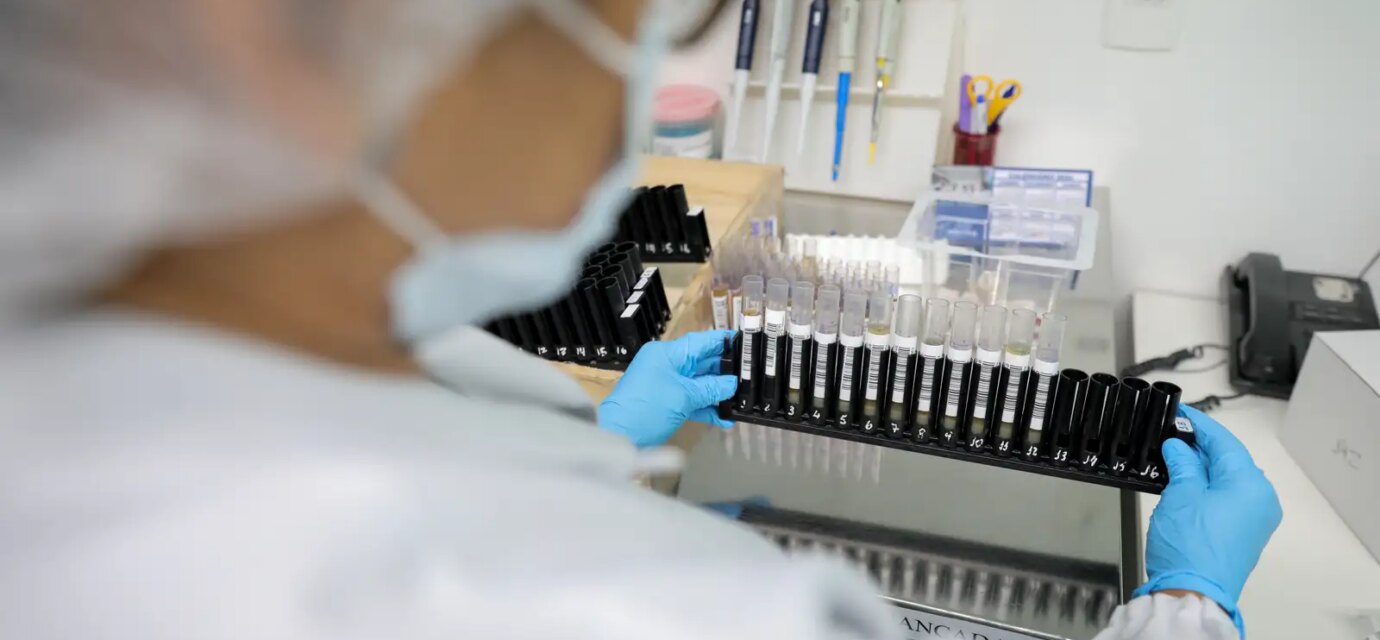 malaria:-anvisa-autoriza-teste-em-humanos-de-vacina-100%-brasileira