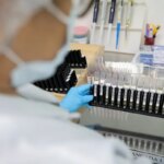 Malária: Anvisa autoriza teste em humanos de vacina 100% brasileira malaria:-anvisa-autoriza-teste-em-humanos-de-vacina-100%-brasileira