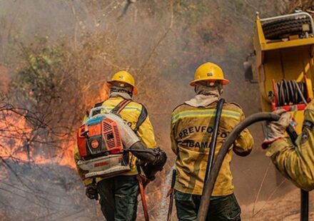 amazonas-teve-quatro-vezes-mais-focos-de-incendio-em-outubro-de-2026