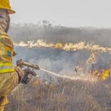 forcas-federais-e-estaduais-trabalham-contra-queimadas-no-amazonas