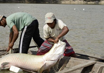 viva-maria-compartilha-experiencia-de-educomunicacao-na-amazonia