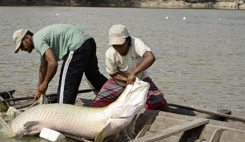 viva-maria-compartilha-experiencia-de-educomunicacao-na-amazonia