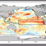 el-nino-em-alta:-pacifico-registra-2a-maior-temperatura-da-historia