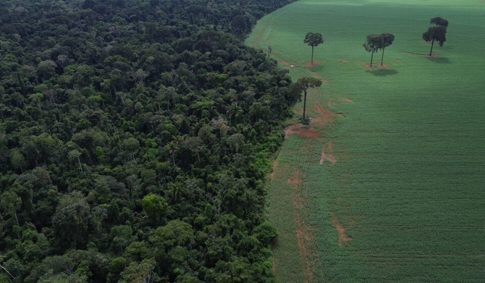 agro-cresce-561%-no-entorno-de-areas-protegidas-na-amazonia-em-41-anos