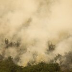 mg:-principal-foco-de-incendio-em-terra-indigena-maxakali-e-controlado