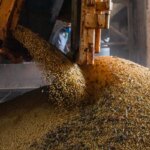 producao-brasileira-de-graos-deve-aumentar-apesar-do-el-nino