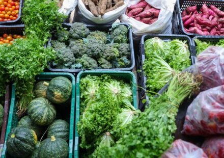 seguranca-alimentar-exige-esforco-coletivo-e-articulacao