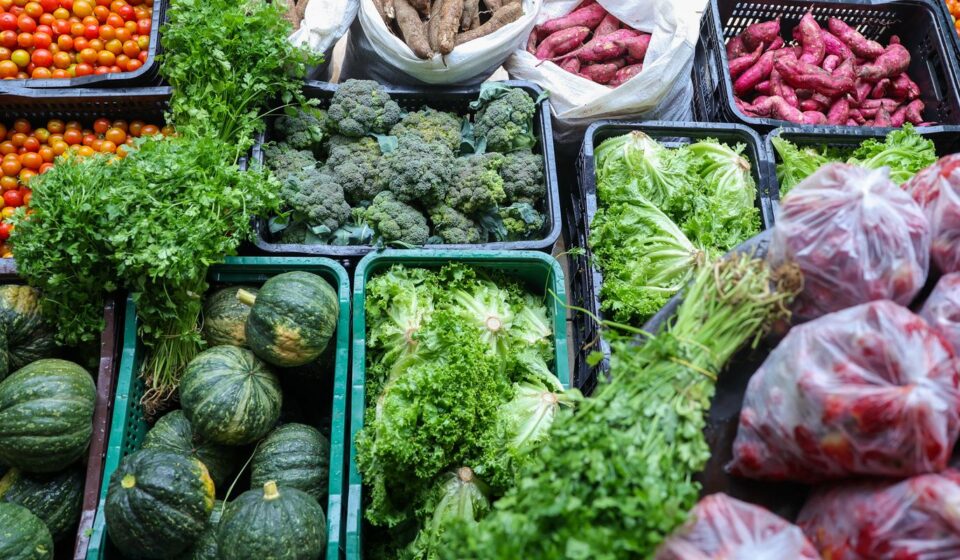 seguranca-alimentar-exige-esforco-coletivo-e-articulacao
