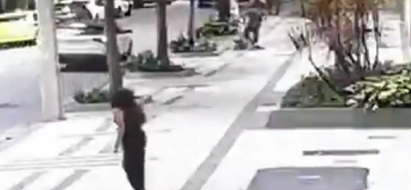 professora-aposentada-da-ufrj-e-baleada-em-assalto-na-zona-sul-do-rio