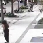 professora-aposentada-da-ufrj-e-baleada-em-assalto-na-zona-sul-do-rio