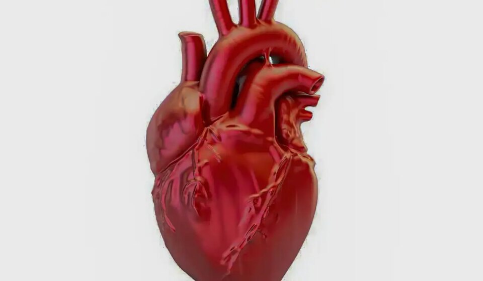 a-cada-72-segundos,-uma-pessoa-morre-por-doenca-cardiovascular-no-pais