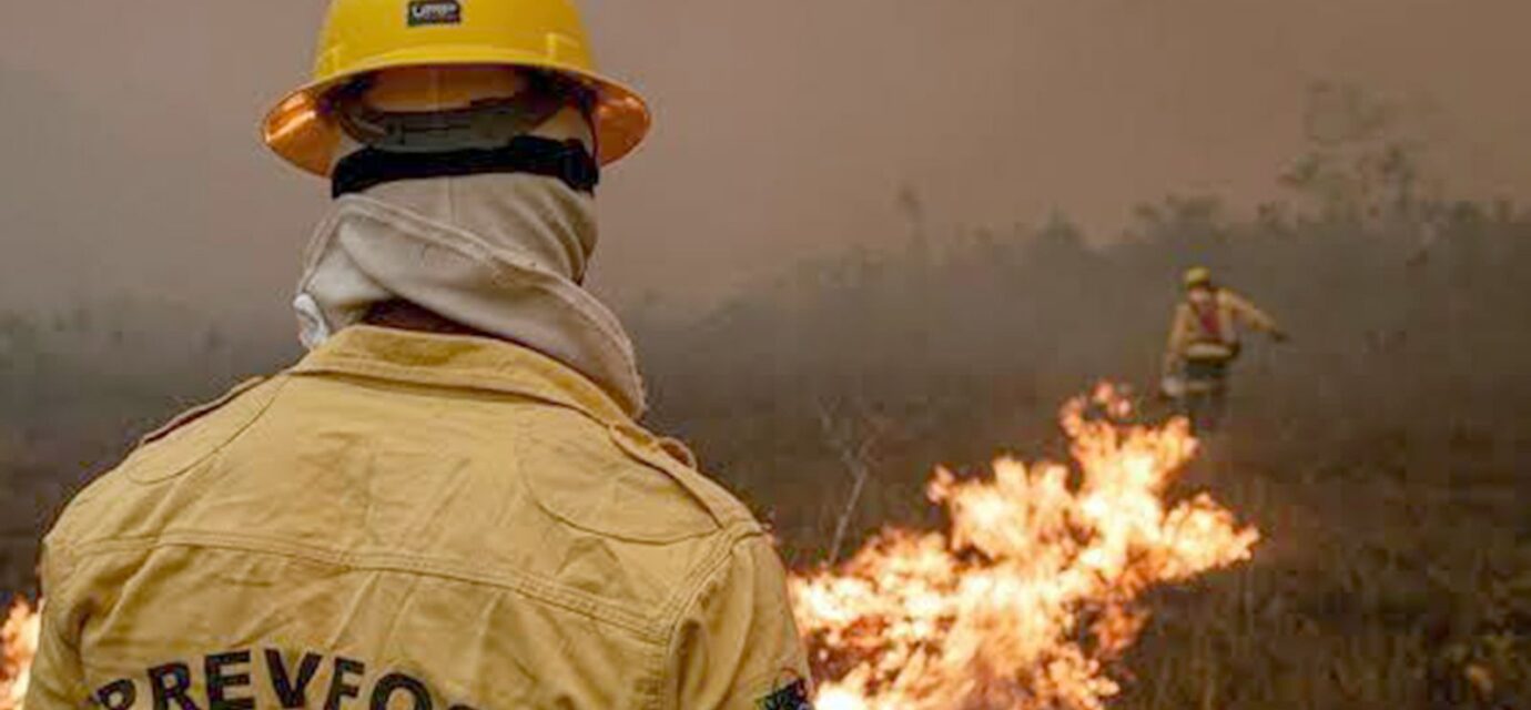 plano-de-acao-contra-incendios-no-amazonas-tera-r$-14-milhoes