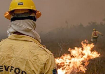plano-de-acao-contra-incendios-no-amazonas-tera-r$-14-milhoes