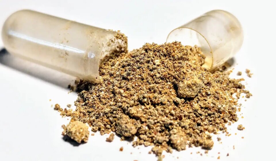 ashwagandha:-anvisa-alerta-que-suplemento-do-tiktok-nao-tem-registro