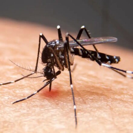 mudancas-climaticas-ja-causam-aumento-de-doencas-infecciosas-no-pais