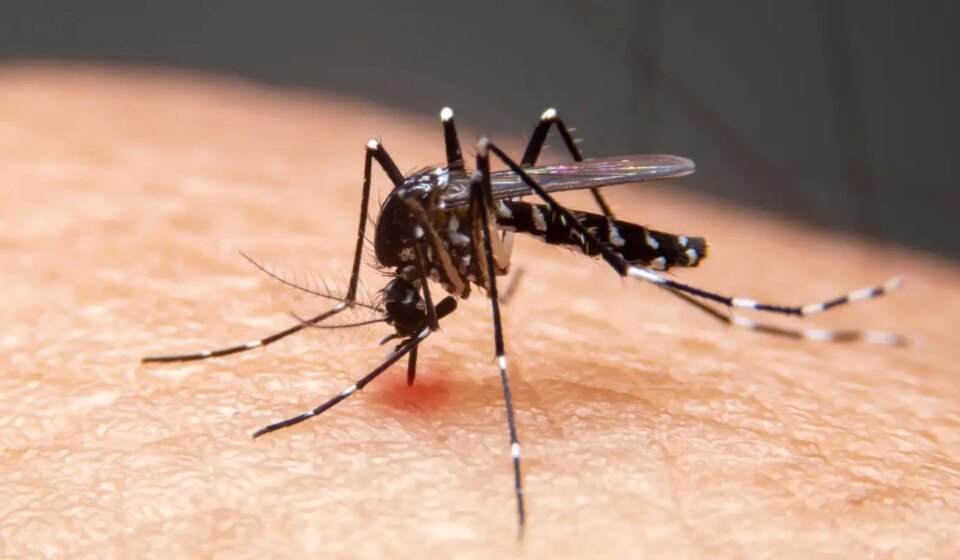 mudancas-climaticas-ja-causam-aumento-de-doencas-infecciosas-no-pais
