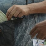 pf-registra-86-casos-suspeitos-de-crime-eleitoral-no-segundo-turno