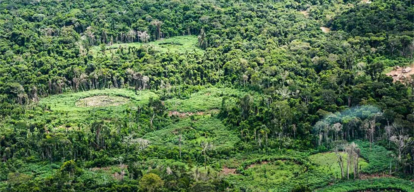 holanda-anuncia-investimento-de-us$-500-milhoes-em-fundo-de-florestas